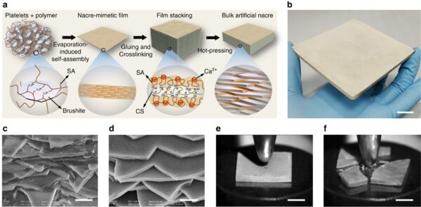 Nature Valley Cs 1.4