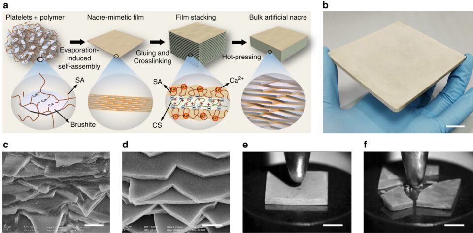 No Product Picture Available